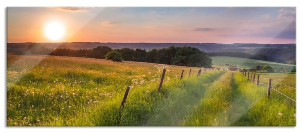 Bergwiese im Sonnenaufgang, Glasbild Panorama Online-Schn?ppchen