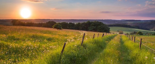 Bergwiese im Sonnenaufgang, Glasbild Panorama Online-Schn?ppchen – Bild 5