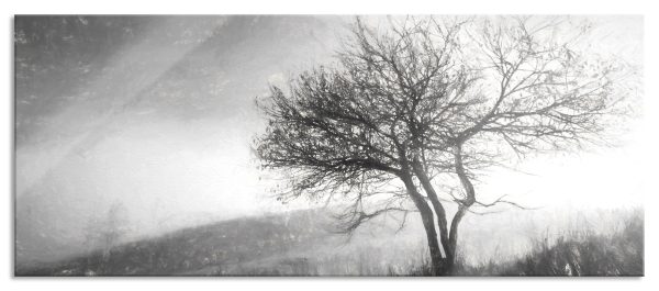 Baum in Landschaft, Glasbild Panorama Mode