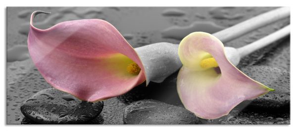 schöne Callas, Glasbild Panorama Jetzt online