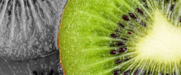 schöne Kiwi Scheiben, Glasbild Panorama Zu verkaufen – Bild 5