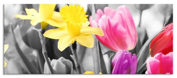schöne Narzissen mit Tulpen, Glasbild Panorama Mode