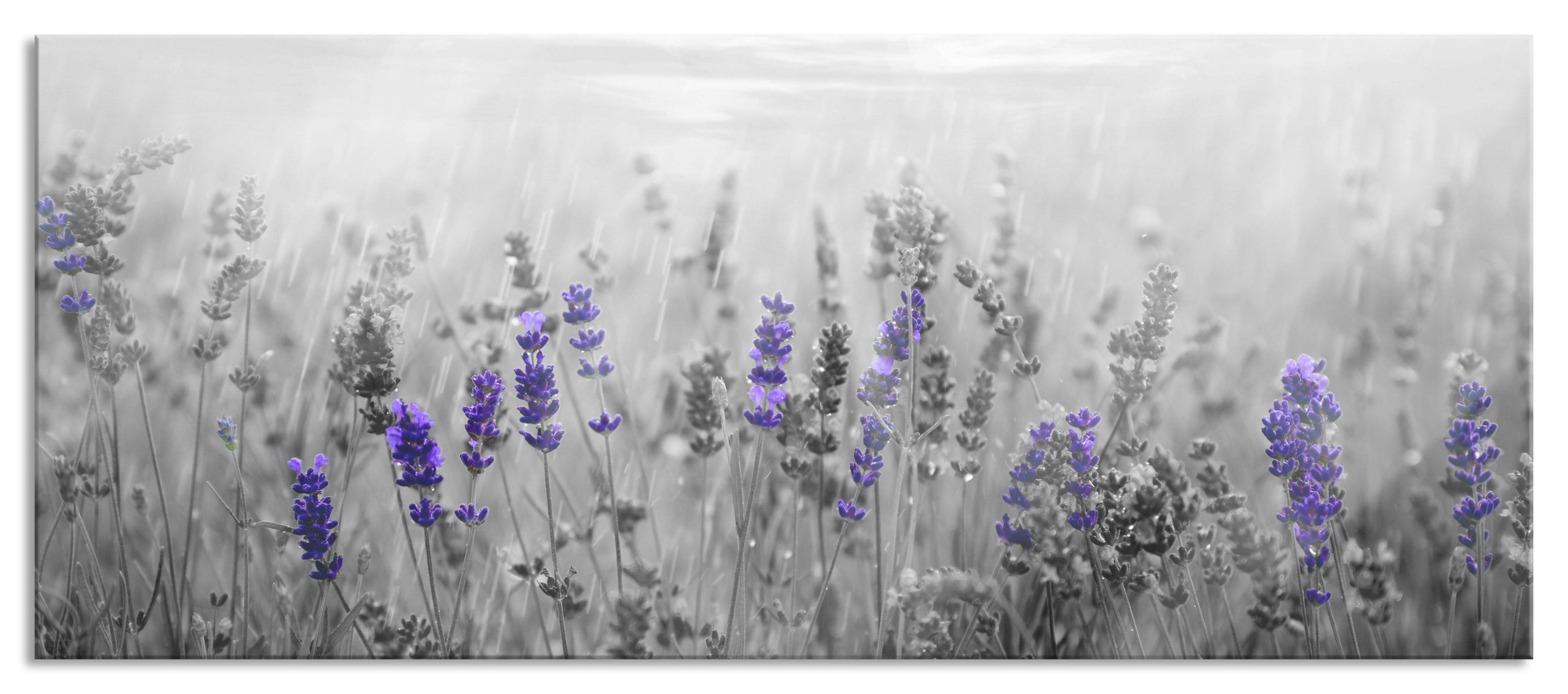 wunderschönes Lavendelfeld, Glasbild Panorama Mode
