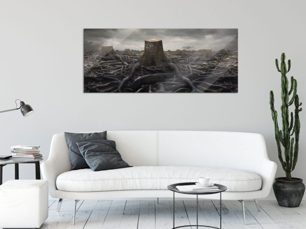 Gerodeter Wald, Glasbild Panorama Zu verkaufen – Bild 2