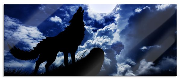 Wolf im Mondschein, Glasbild Panorama Verkauf