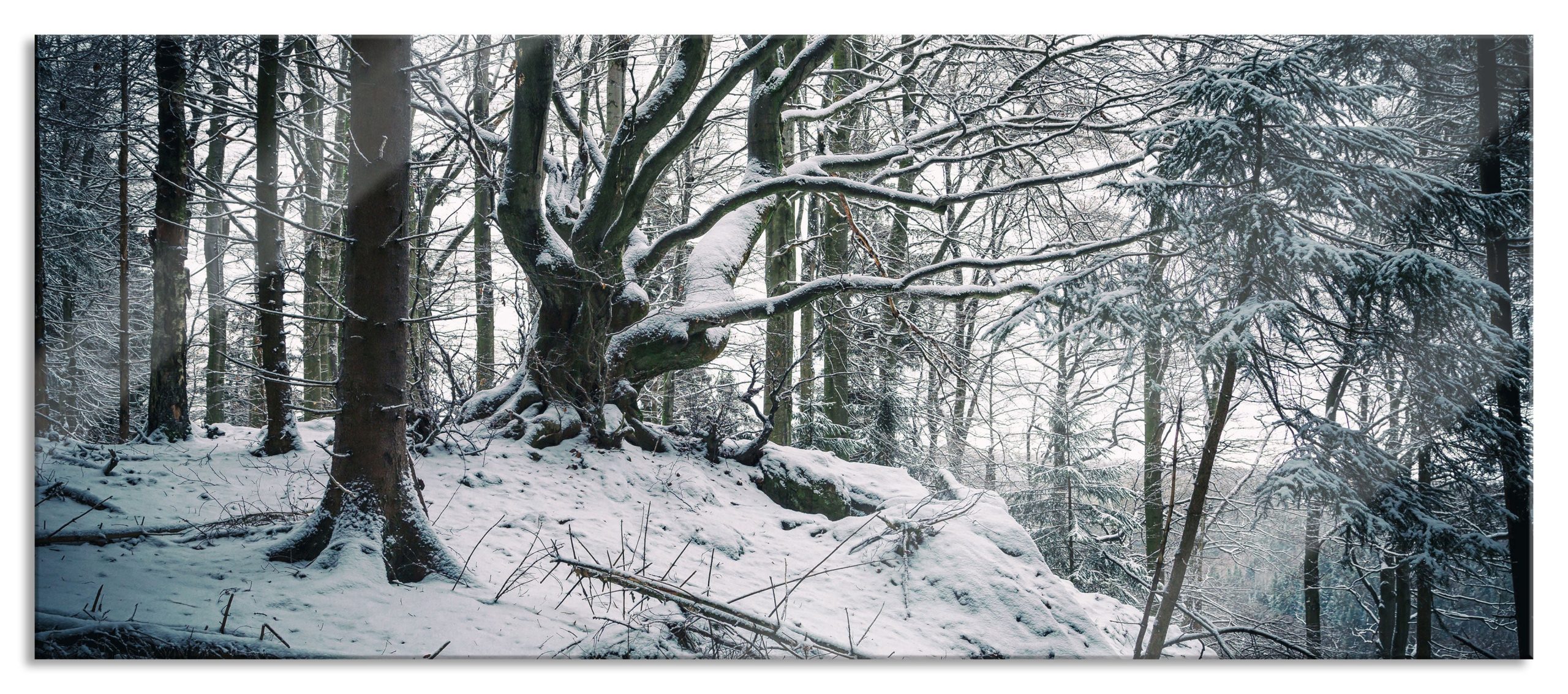 Wald mit Schnee bedeckt, Glasbild Panorama Zu verkaufen